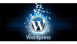 WordPress Website Design WordPress Website Design