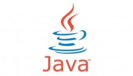 JAVA Programming JAVA Programming