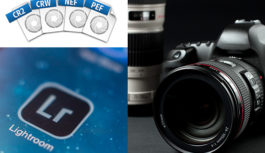 Photography and Lightroom Photography and Lightroom